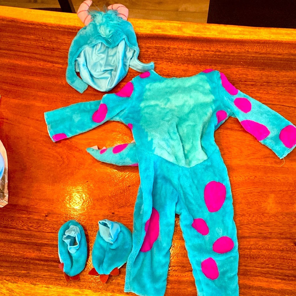 Monsters Inc Sully Costume
